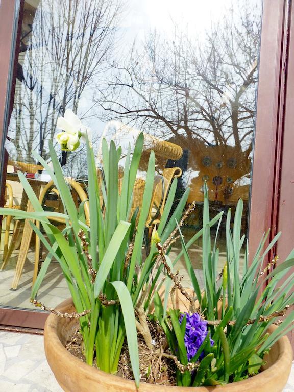 B&B Villa Acero 마리나 디 카라라 외부 사진